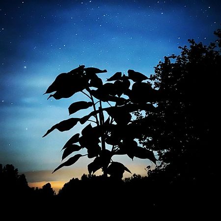 Krzyweprogi - Domek Na Mazurach Nad Jeziorem Krzywe Langbrück Esterno foto