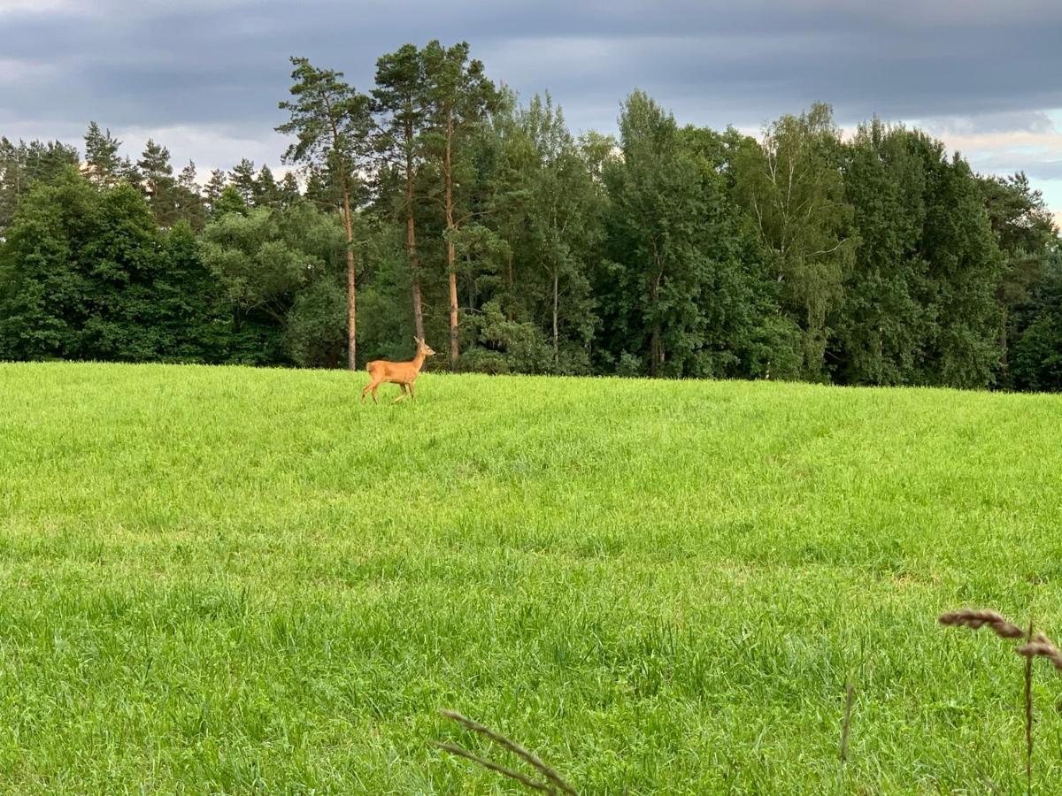 Krzyweprogi - Domek Na Mazurach Nad Jeziorem Krzywe Langbrück Esterno foto