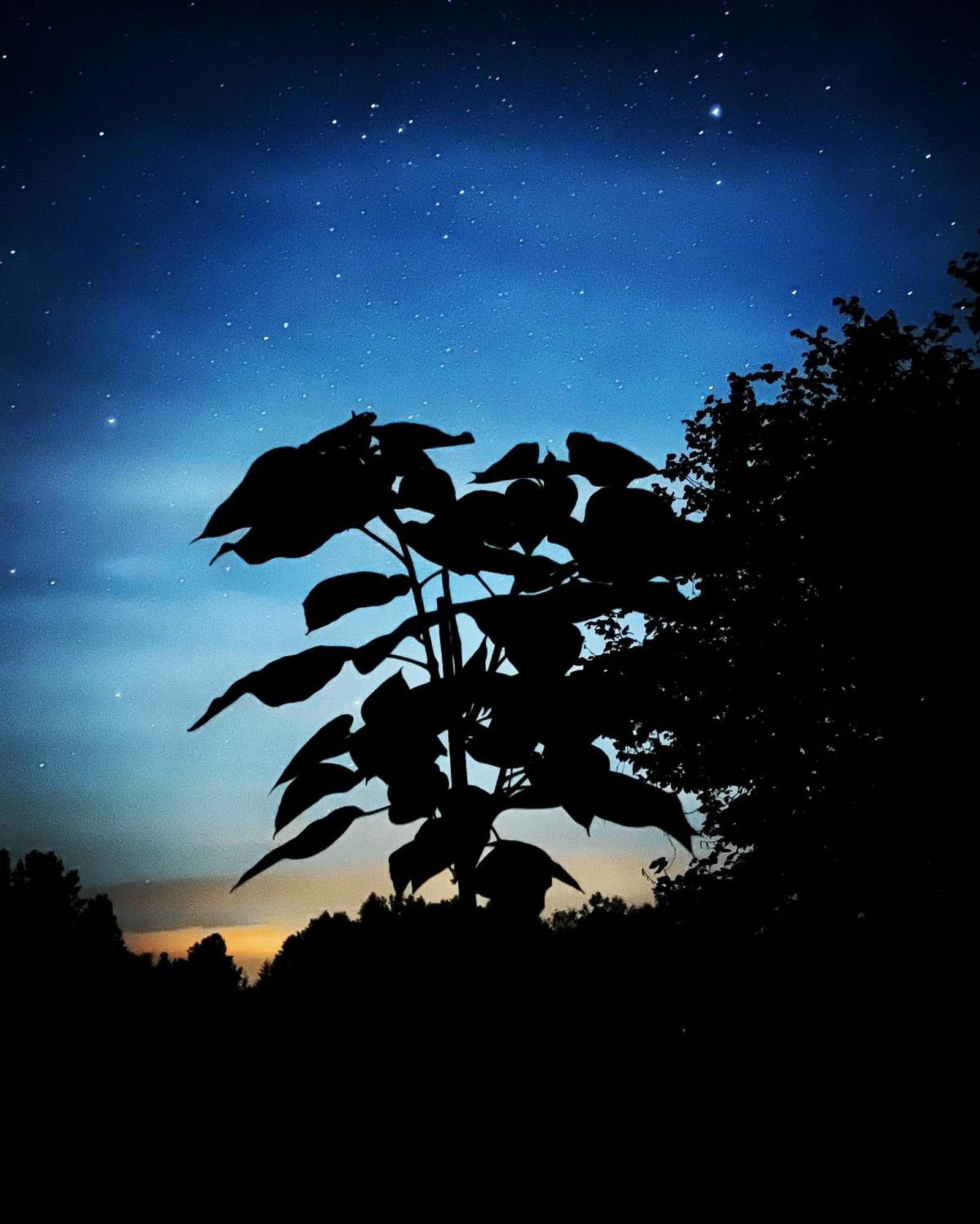 Krzyweprogi - Domek Na Mazurach Nad Jeziorem Krzywe Langbrück Esterno foto